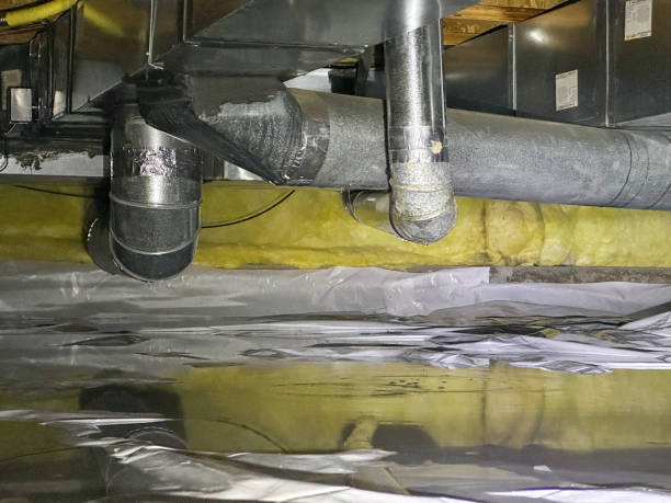 Best Basement water damage restoration  in Sierra View, PA